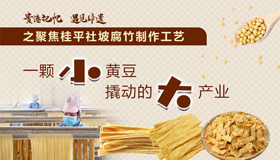 美味腐竹是怎么来的？——聚焦非遗桂平社坡腐竹制作工艺